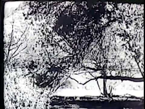 Dawn Rider (John Wayne)