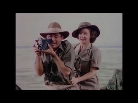 Schnee am Kilimandscharo ABENTEUERFILM Drama Romanze Deutsch