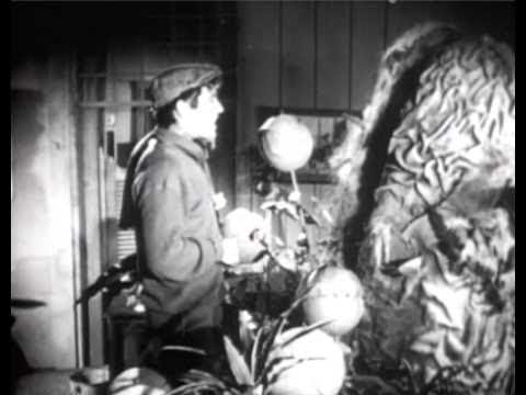 The Little Shop of Horrors